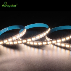 2835 Series LED Strip - ART-2835-240-W+WW-24